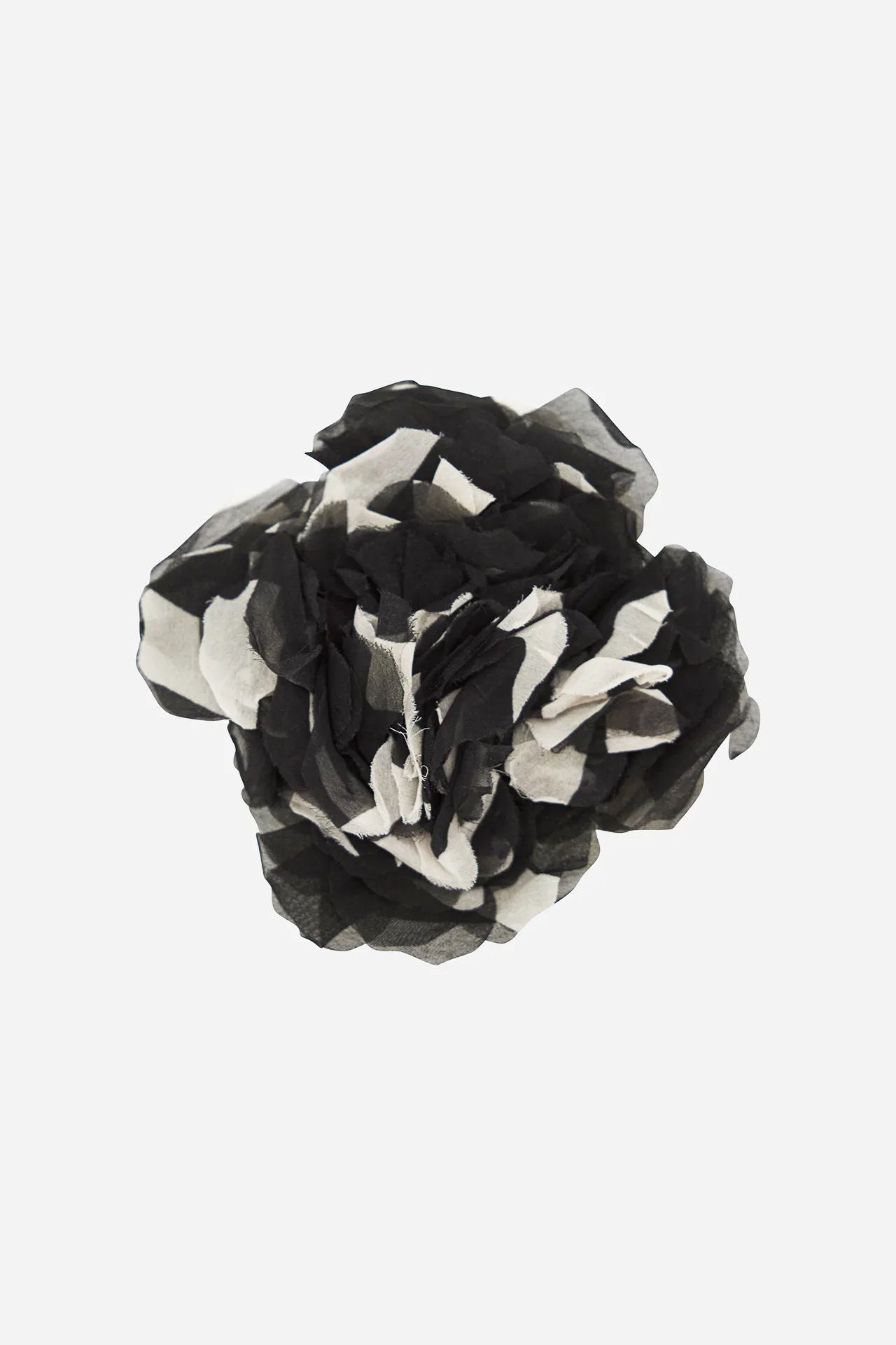 Black & White Flower