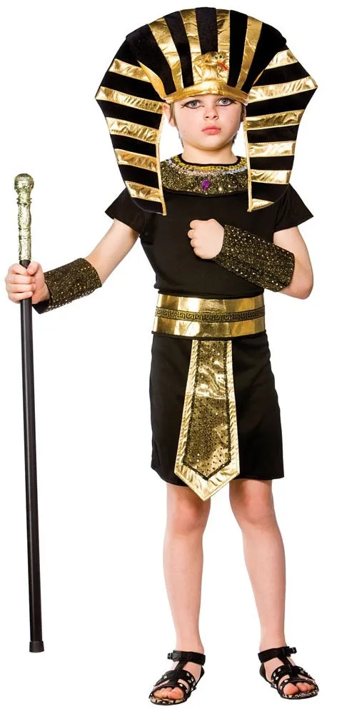 Boys Egyptian Pharaoh Historical Ancient Egypt Book Day Fancy Dress Costume