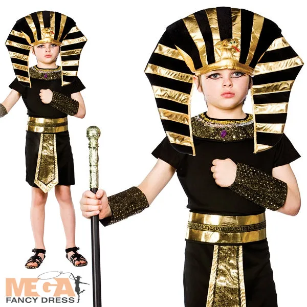 Boys Egyptian Pharaoh Historical Ancient Egypt Book Day Fancy Dress Costume