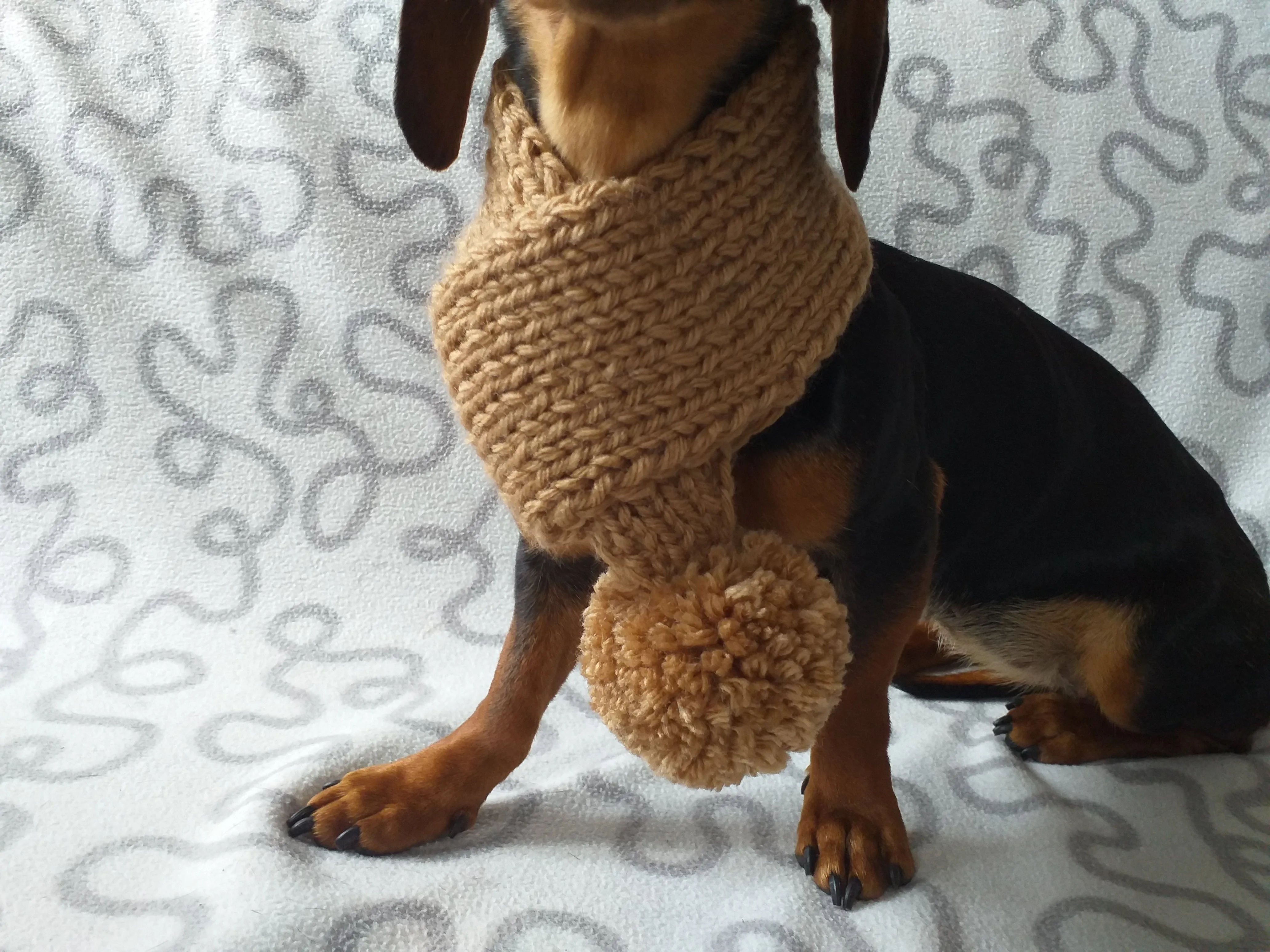 Knitted winter scarf for dog with pompom